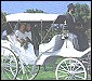 carriage_sml2